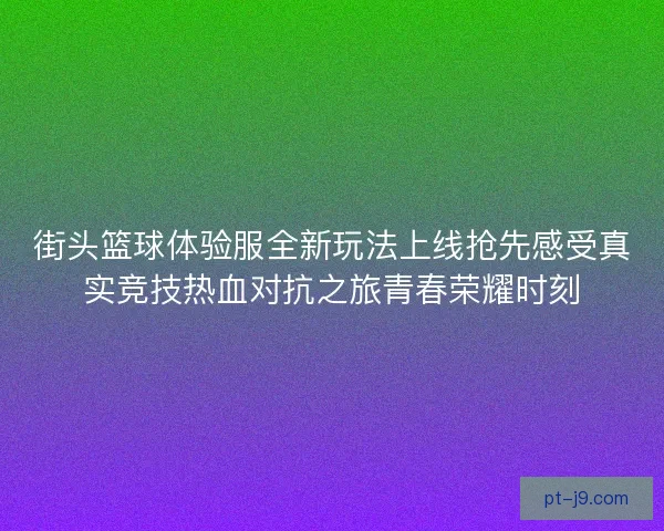 街头篮球体验服全新玩法上线抢先感受真实竞技热血对抗之旅青春荣耀时刻 街头篮球体验服全新玩法上线抢先感受真实竞技热血对抗之旅青春荣耀时刻