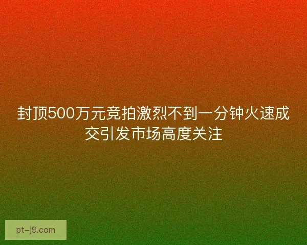 封顶500万元竞拍激烈不到一分钟火速成交引发市场高度关注